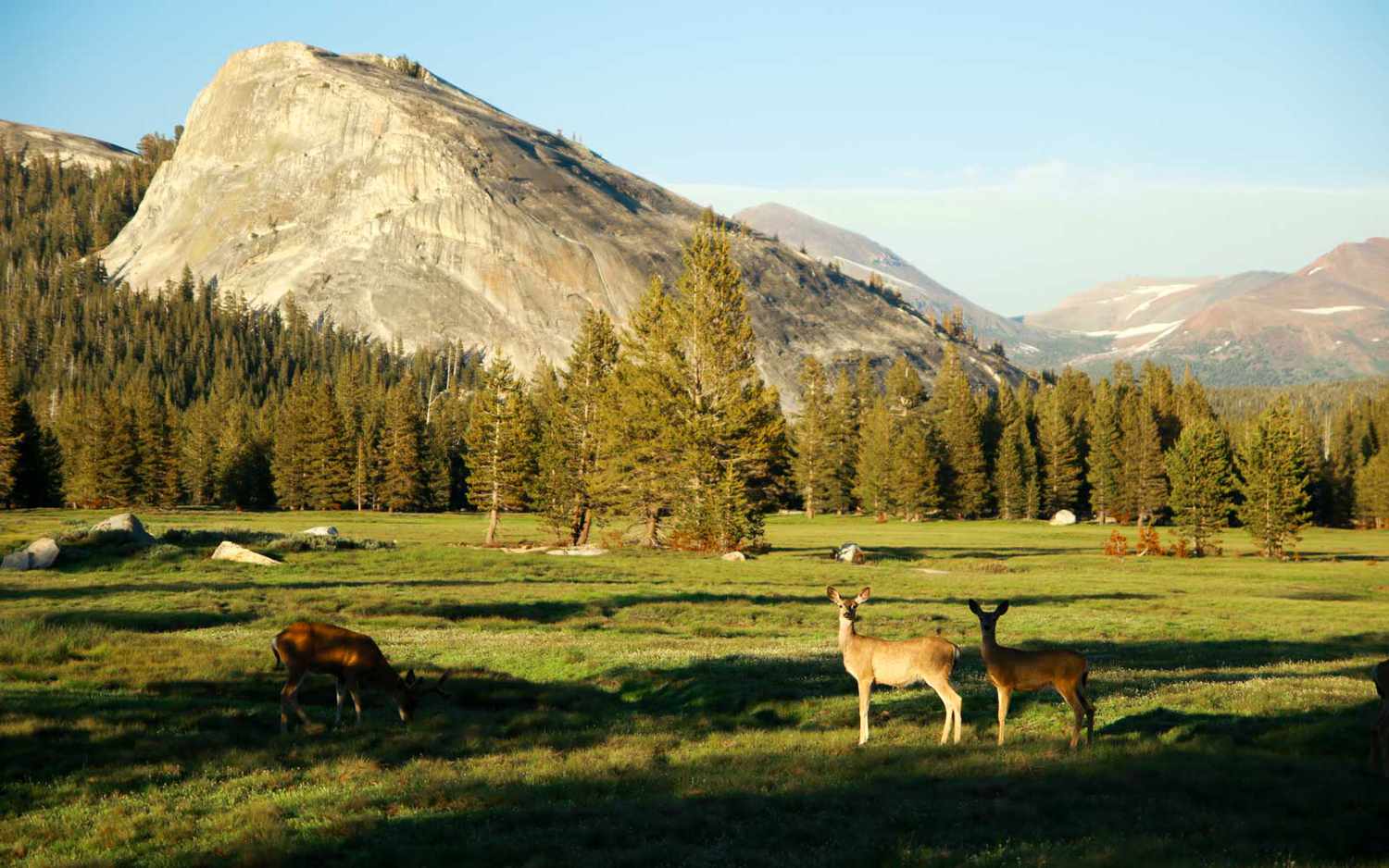 Let These Yosemite National Park Webcams Fuel Your Love of the Outdoors