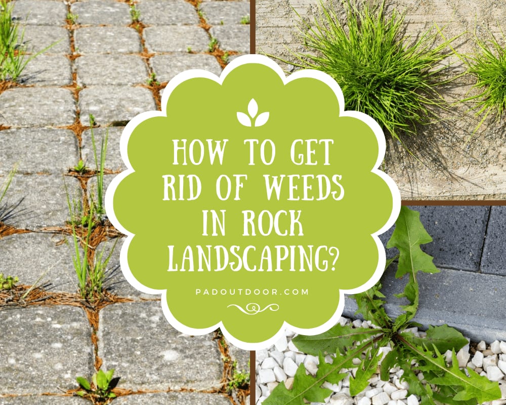 How To Get Rid Of Weeds In Rock Landscaping