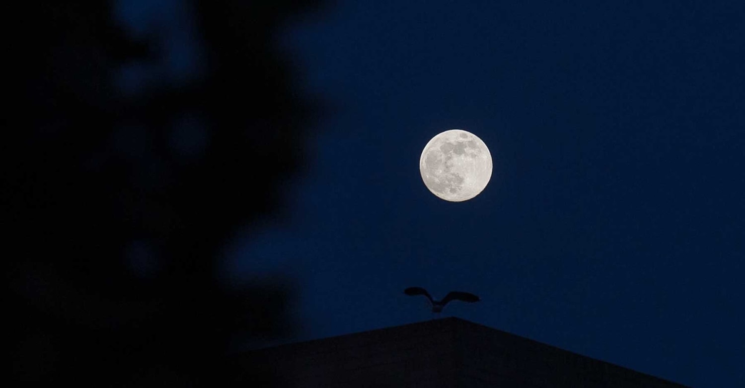 A Rare Blue Moon Will Light Up the Sky on Halloween This Year