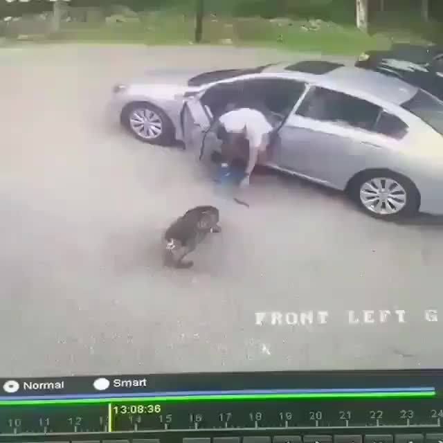 He tried to trick his dog and forgot to close his door.