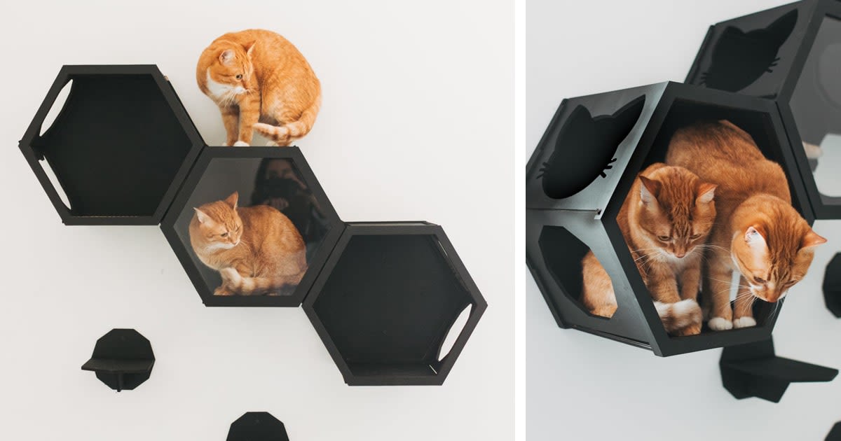 Modular Cat Furniture Doubles as Chic Wall Art That Pet Parents Will Love