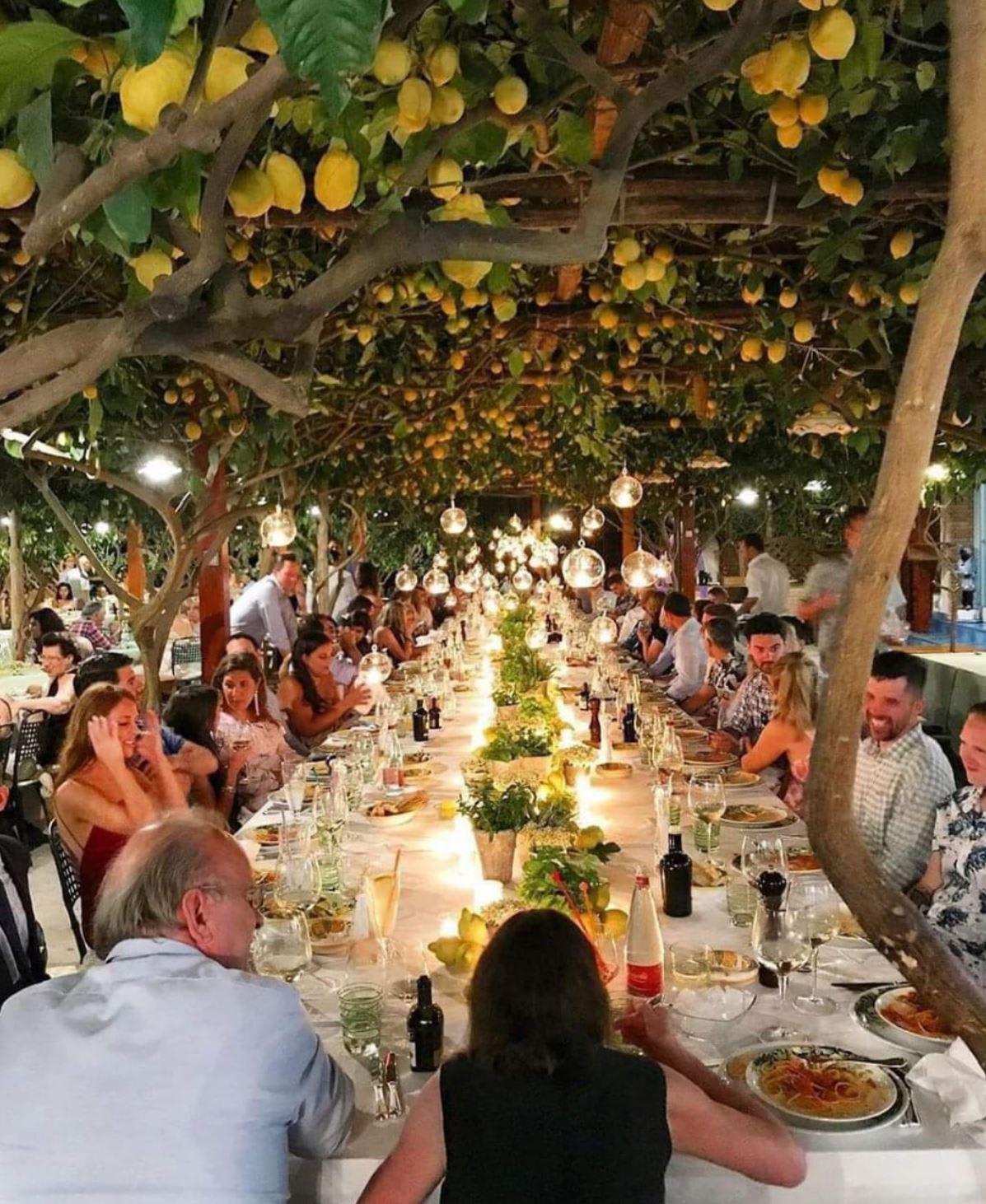 An outdoor restaurant in Italy, covered by lemon plants and lemon
