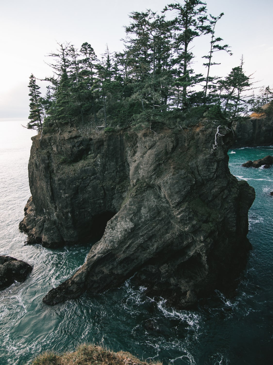 Coastal cliffs, Brookings Oregon (Photo credit to Graham Spencer)