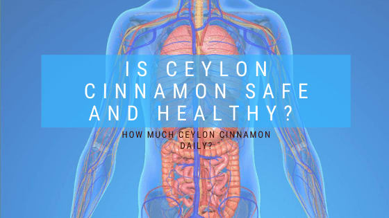 Is Ceylon Cinnamon Safe and Healthy? - Ceylon Cinnamon Daily