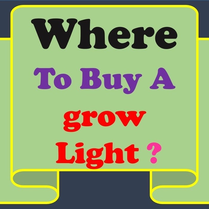 Where to Buy a Grow Light-You Should know about It