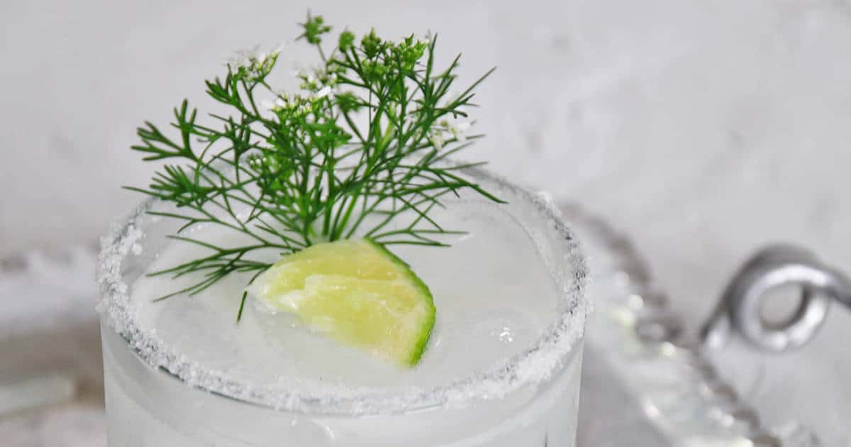 How to Make a Perfect Margarita