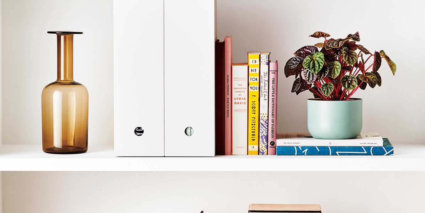 The Secret to Creating a Well-Organized Bookshelf