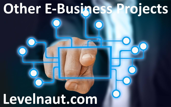 Other E-Business Projects