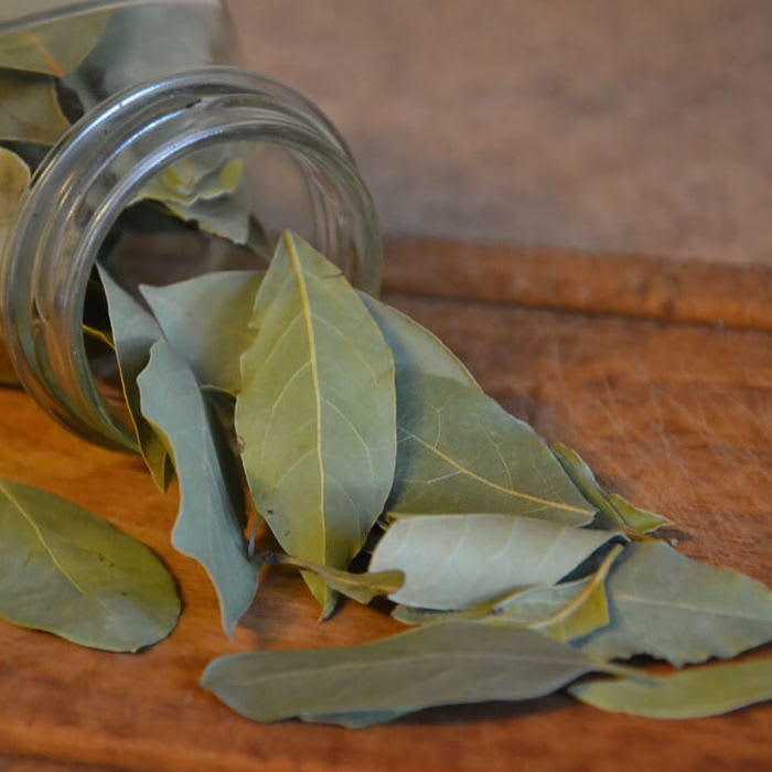 Amazing Health Benefits of Bay Leaves - A Busy Mother's Journey