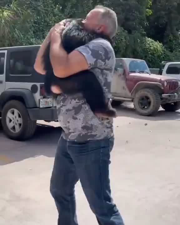 Chimp being reunited with the people that rescued him