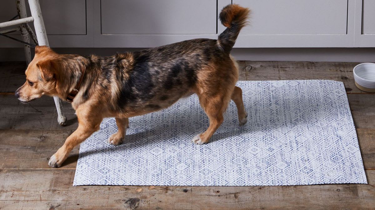 The Fridge Staple You Didn't Know Could Fix Your Hardwood Floor Scratches