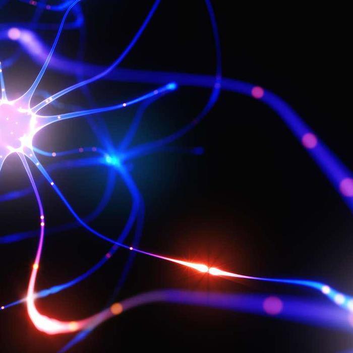 Your brain is like 100 billion mini-computers all working together