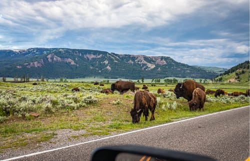 10 Eye-Popping Road Trips with Scenic Drives at U.S. National Parks
