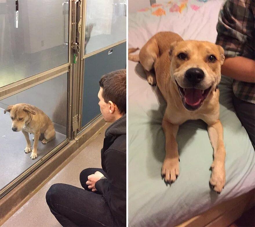 Before and after adoption