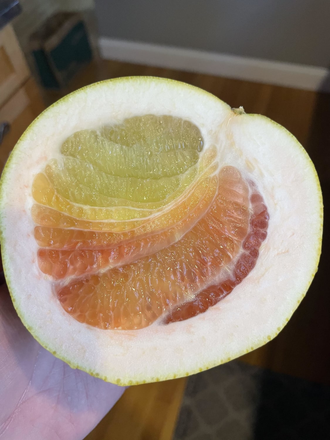 Sliced into a pomelo the other day...