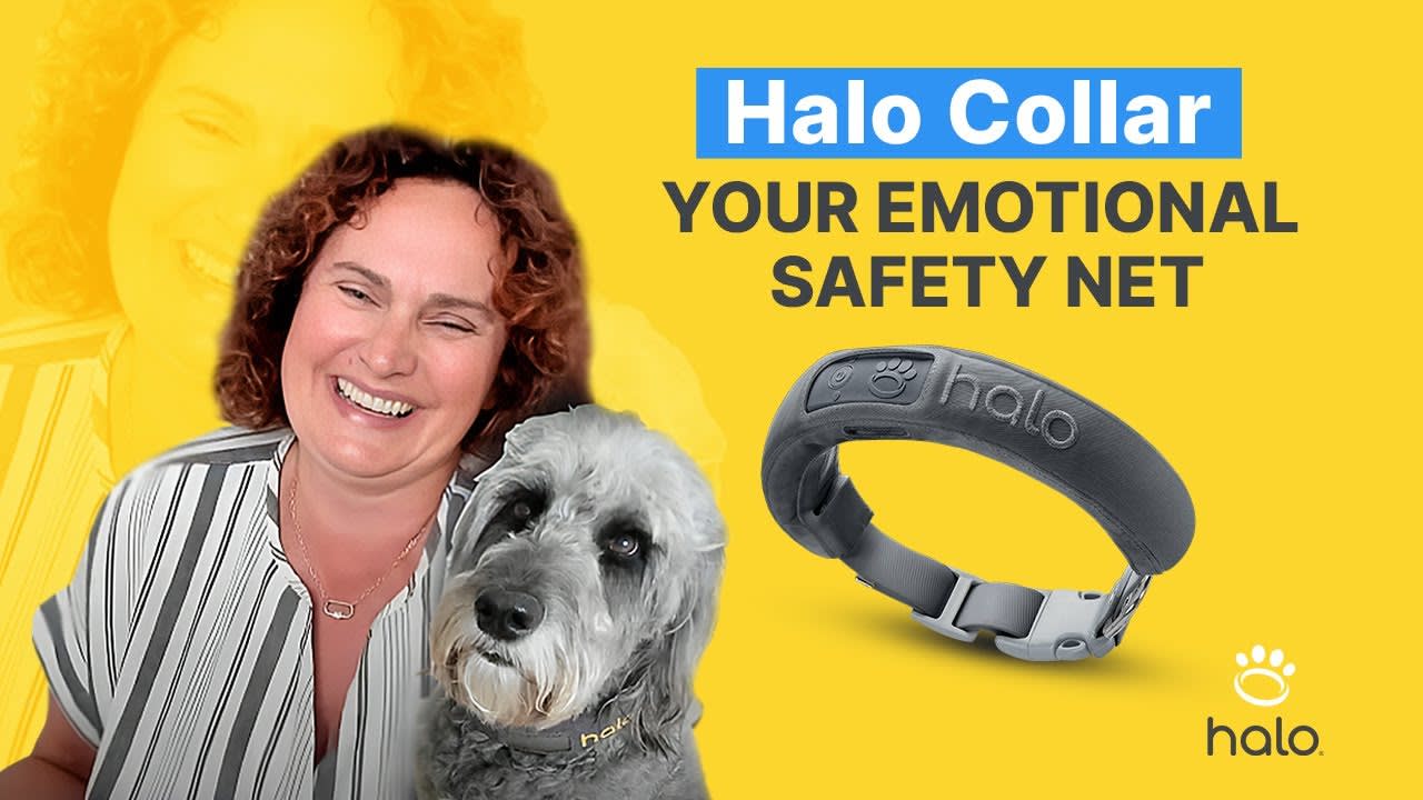 HALO COLLAR 3 REVIEW 🌟 ELEVATING DOG SAFETY WITH TECHNOLOGY FOR UNBREAKABLE BONDS 🐾📱