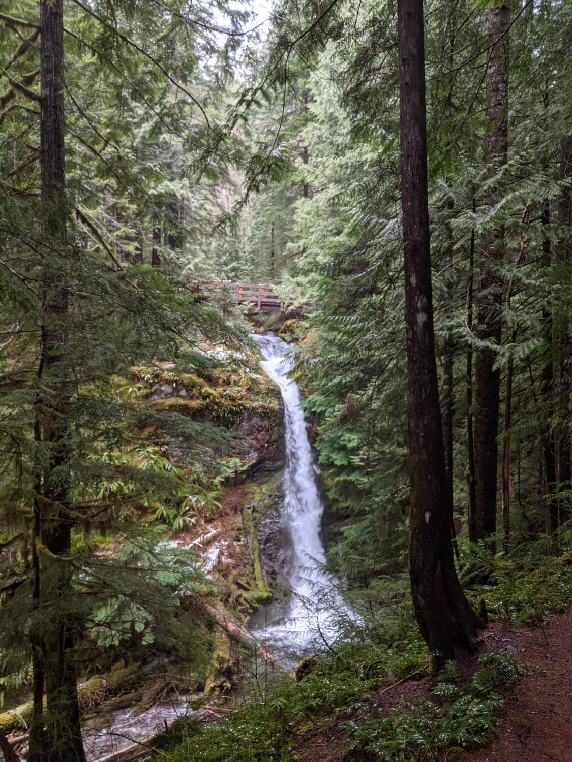 Upper Copper Creek Falls along the Lewis River Trail, Gifford Pinchot National Forest, WA, USA