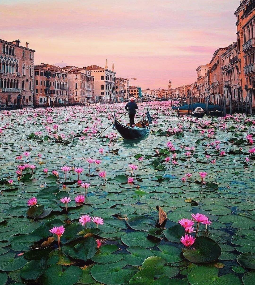 Venice, Italy 💮 [cassy]