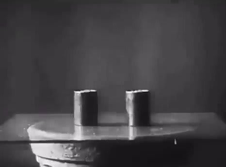 This 1951 footage uses time-lapse photography to show the physical power of plants and their efforts to receive sunlight & fulfill their growth