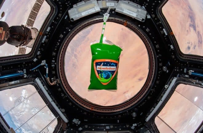 10 unusual things researchers launched into space for science -and why: 1. Nickelodeon Green Slime, 2. Tissue Chips, 3. Jellyfish, 4. Salmonella, 5. Tardigrades, 6. Honeybee Colonies, 7. Spiders, 8. Freeze-Dried Mouse Sperm, 9. Medaka, & 10. Bullfrogs.