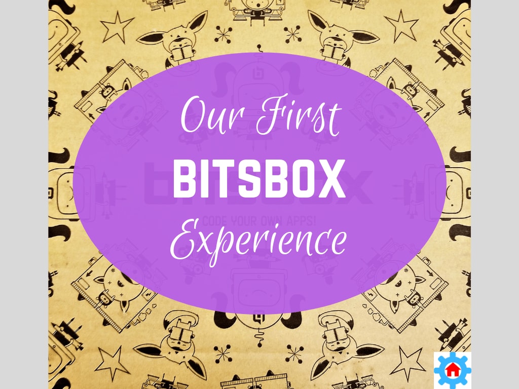 Our First Bitsbox Experience - From Engineer to Stay at Home Mom