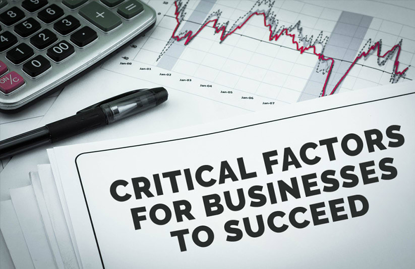 What are the 7 Success Factors for Your Business?