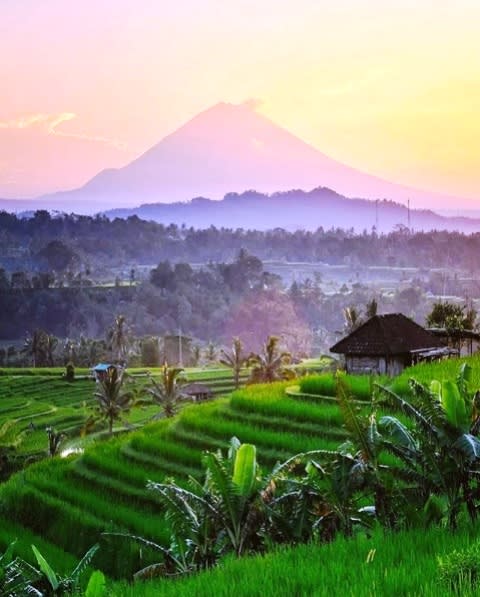 Subak Jatiluwih Bali, Wisata Irigasi Sawah Bali yang masuk Unesco