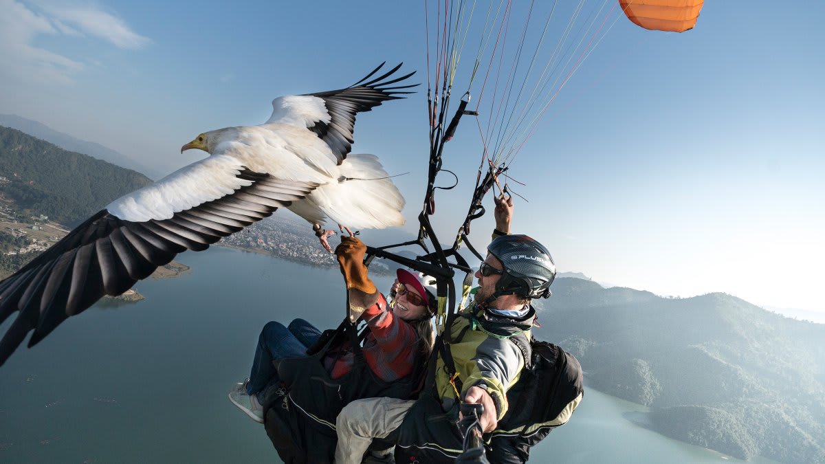 Parahawking Is the Closest You Can Get to Being a Bird