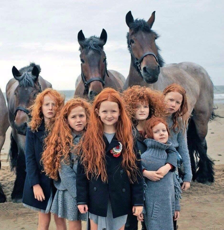 The beauty of Ireland | Beautiful children, Horses, Animals