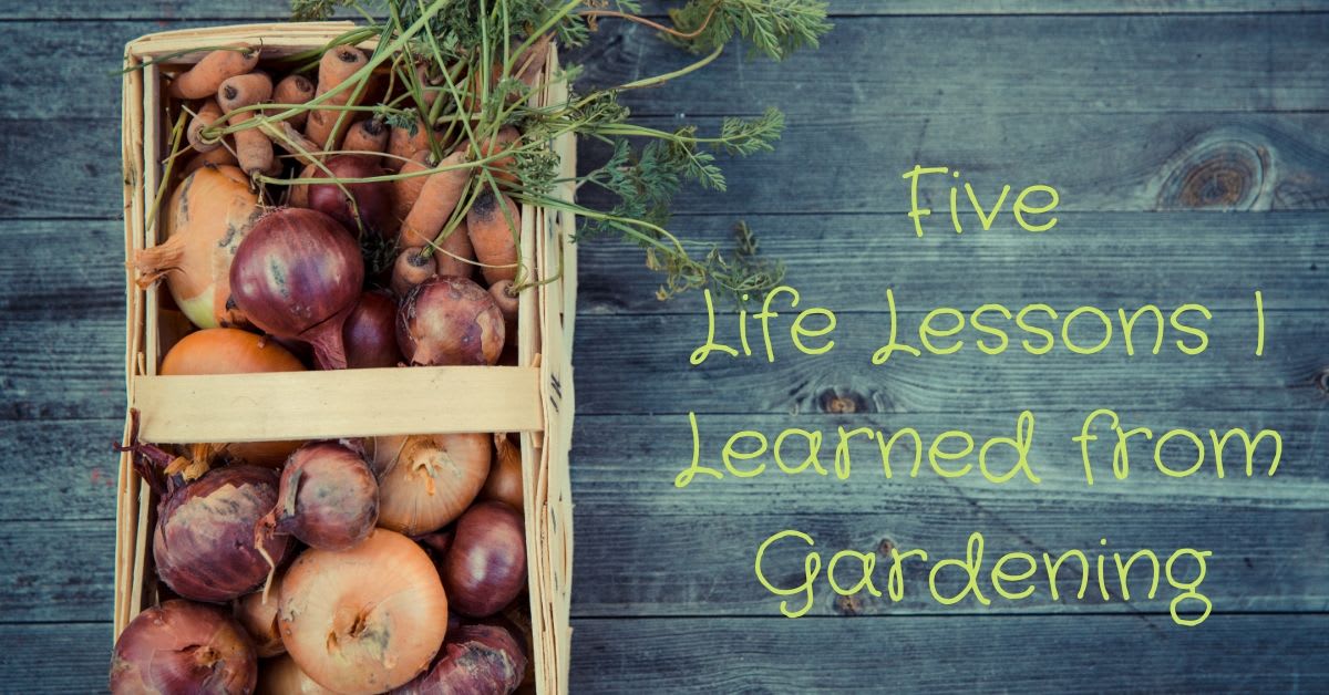 5 Life Lessons I Learned from Gardening