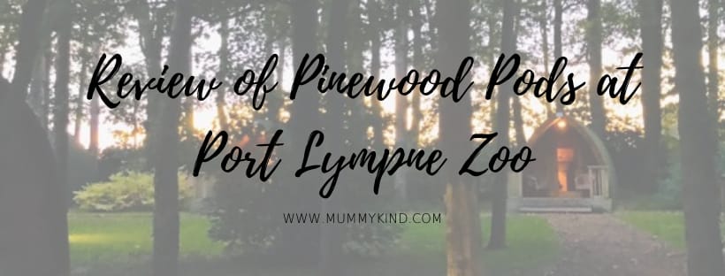 Pinewood Pods at Port Lympne Zoo