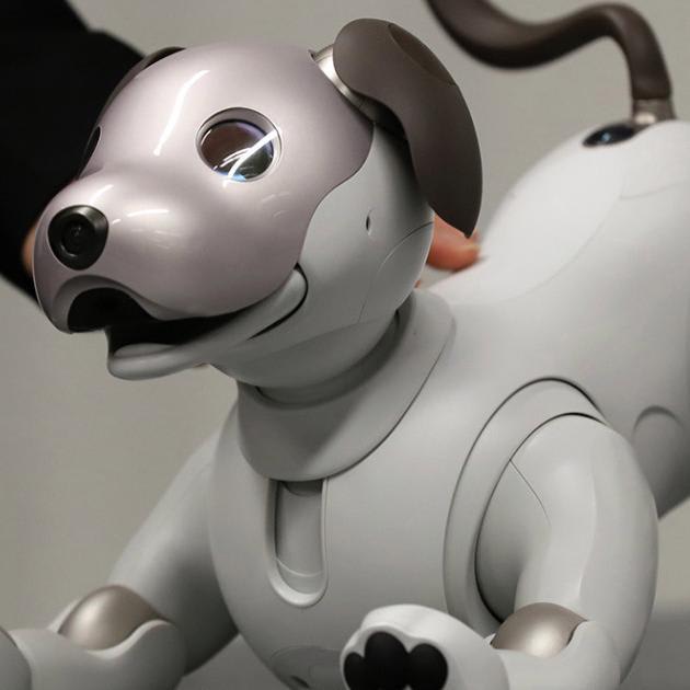 Robot puppies will soon be man's best friend