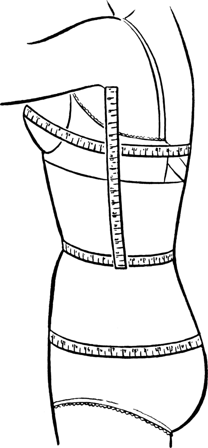 Bust/waist/hip measurements