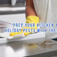 Prep Your Kitchen Against Holiday Pests With These 5 Tricks