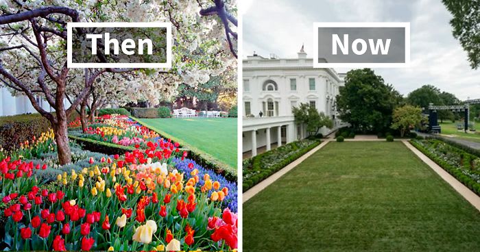 People Are Ridiculing Melania Trump’s White House Rose Garden Renovation With Savage Tweets