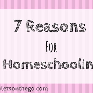 7 Reasons for Homeschooling