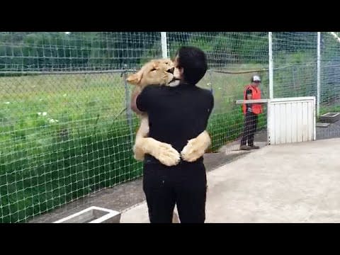 Lion Sees Her Adoptive Dad After 7 Years...