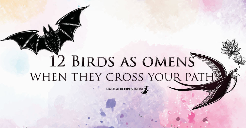 Birds as Omens when they Cross Your Path - Magical Recipes Online