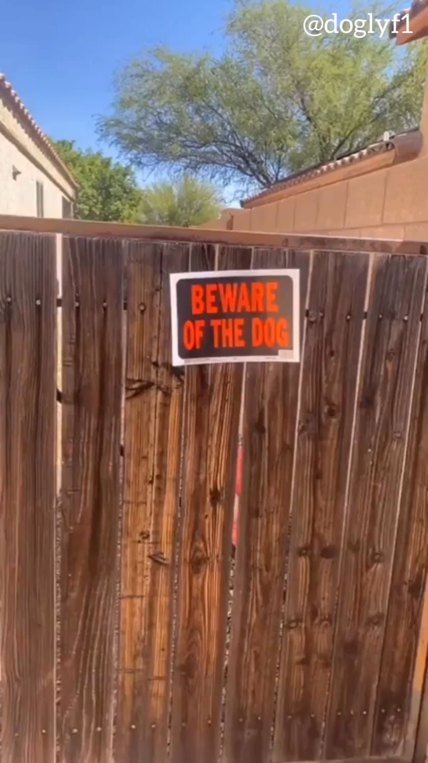 Beware of dogs.