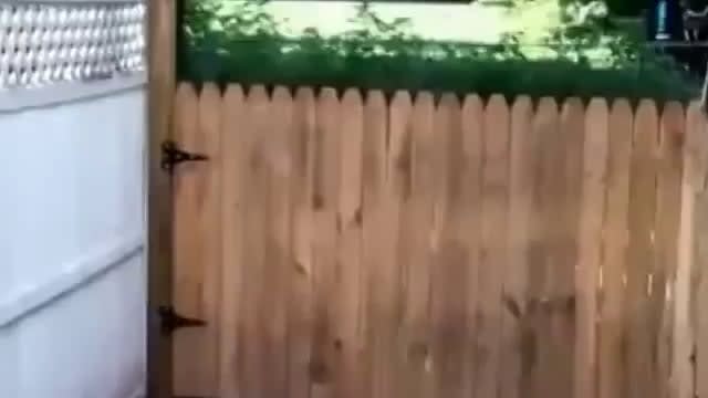 Man proud of his new fence to keep his dog safe