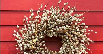 Make a Beautiful Pussy Willow Wreath