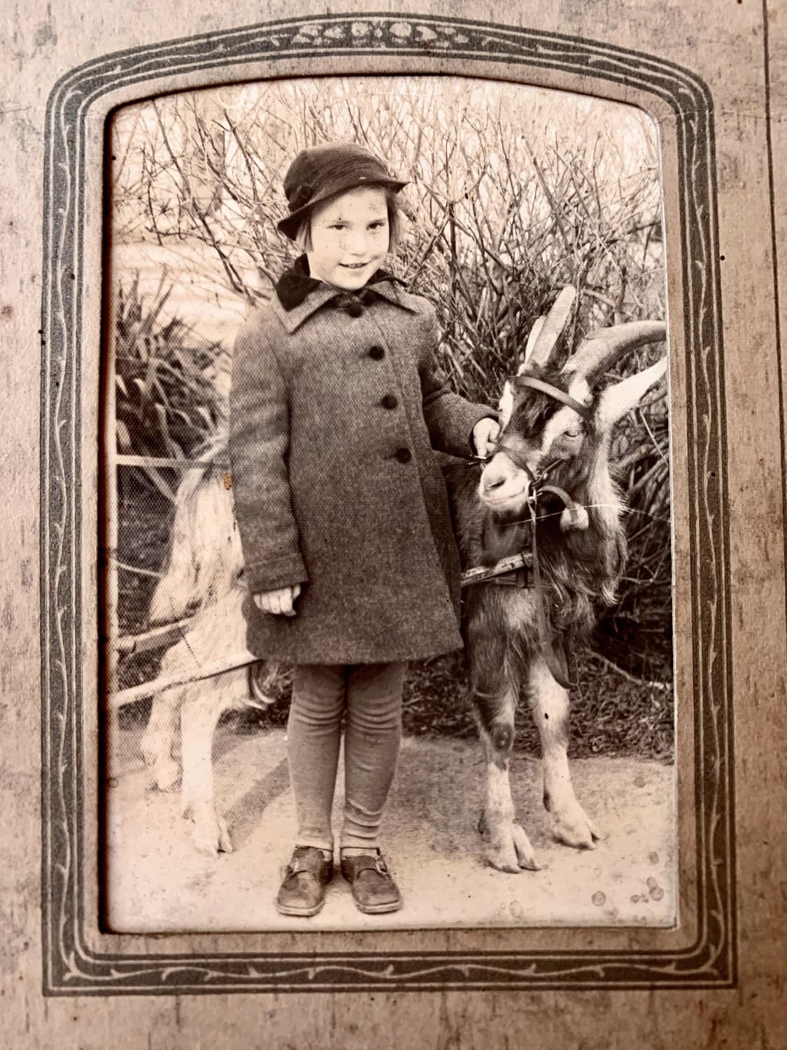 Everyone is posting their pony pictures... so here’s my Grandma Pearl circa 1934 with a very snazzy goat