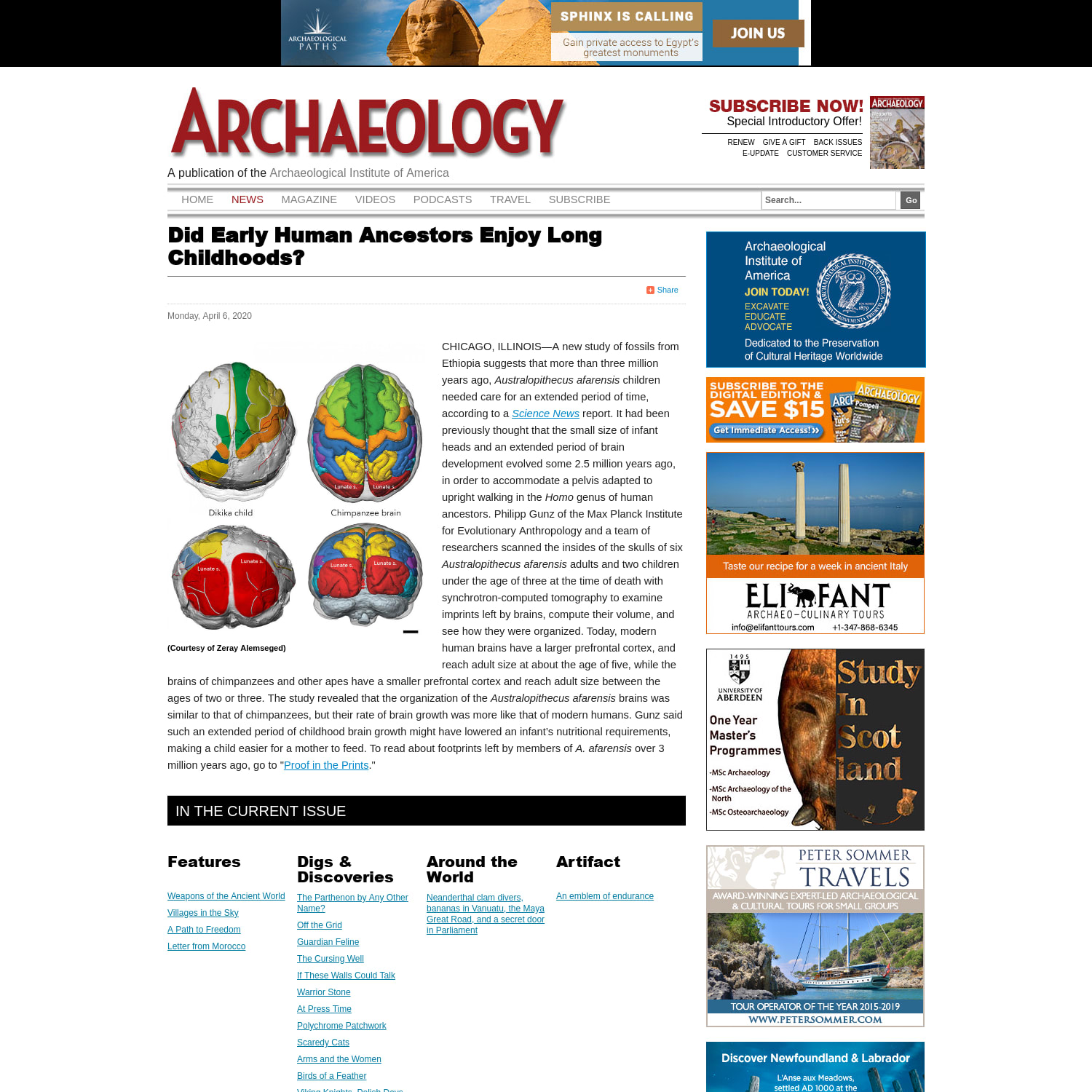 Did Early Human Ancestors Enjoy Long Childhoods? - Archaeology Magazine