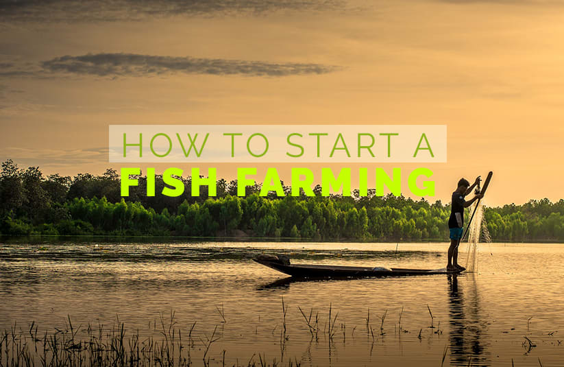 How To Start a Fish Farming Business?