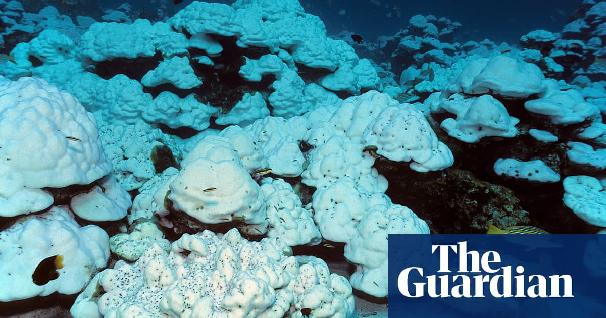 Great Barrier Reef on brink of third major coral bleaching in five years, scientists warn