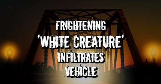 Frightening 'White Creature' Infiltrates Vehicle