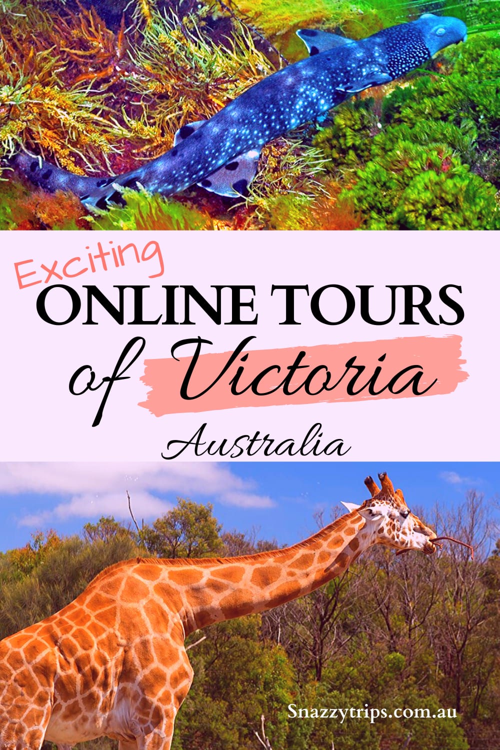 5 Exciting Online Tours of Victoria SNAZZY TRIPS travel blog