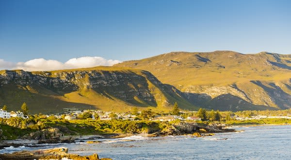 Whale-Watching, Elephants, and Surfing: The Ultimate South Africa Road Trip