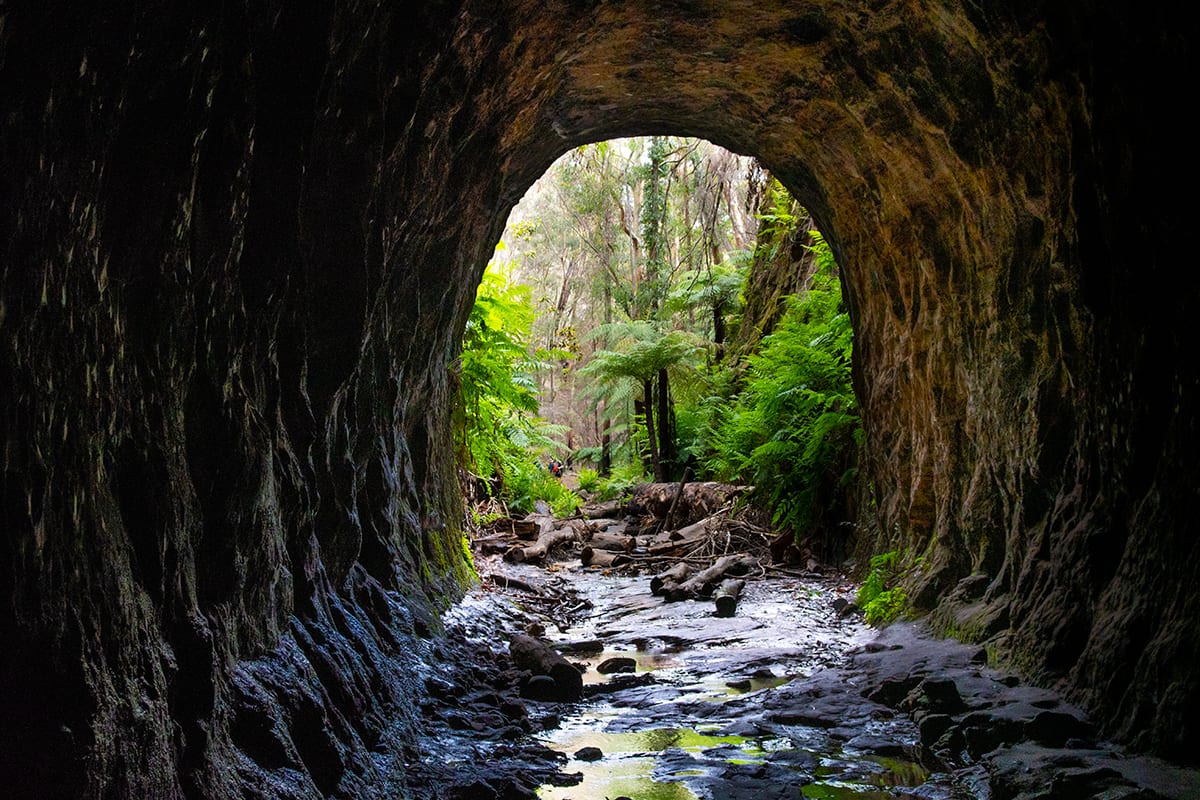The most picturesque way to visit Lithgow Glow Worm Tunnel