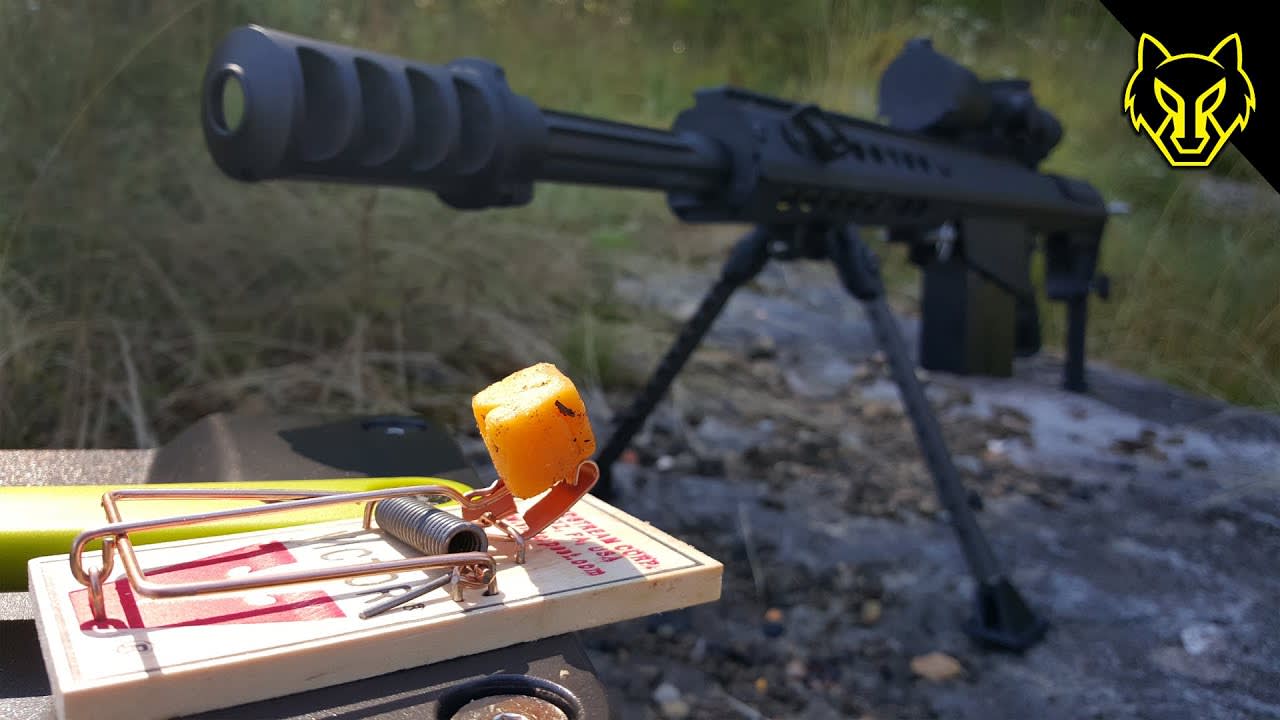 Will A Mouse Trap Catch A .50 Cal Bullet?